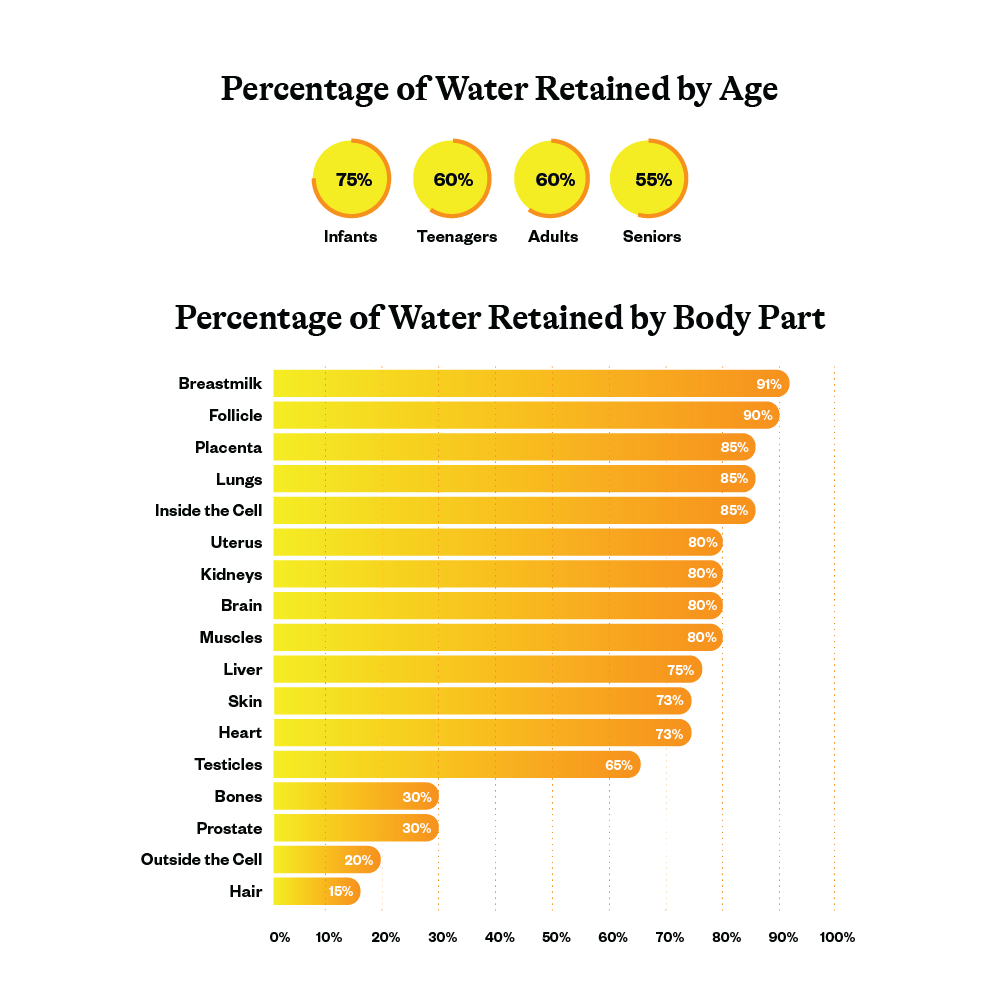 Optimal Electrolyte | Lemonade | 167g |  Seeking Health