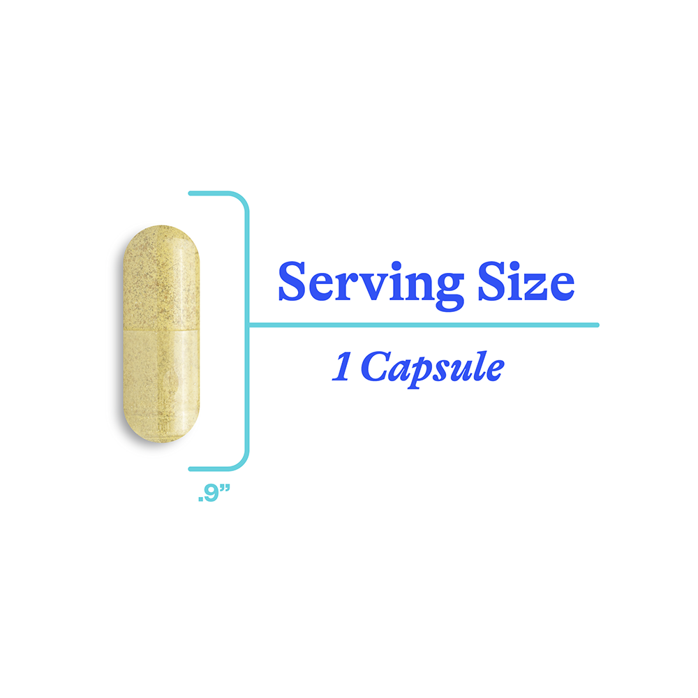 HistaminX | 60 Capsules | Seeking Health